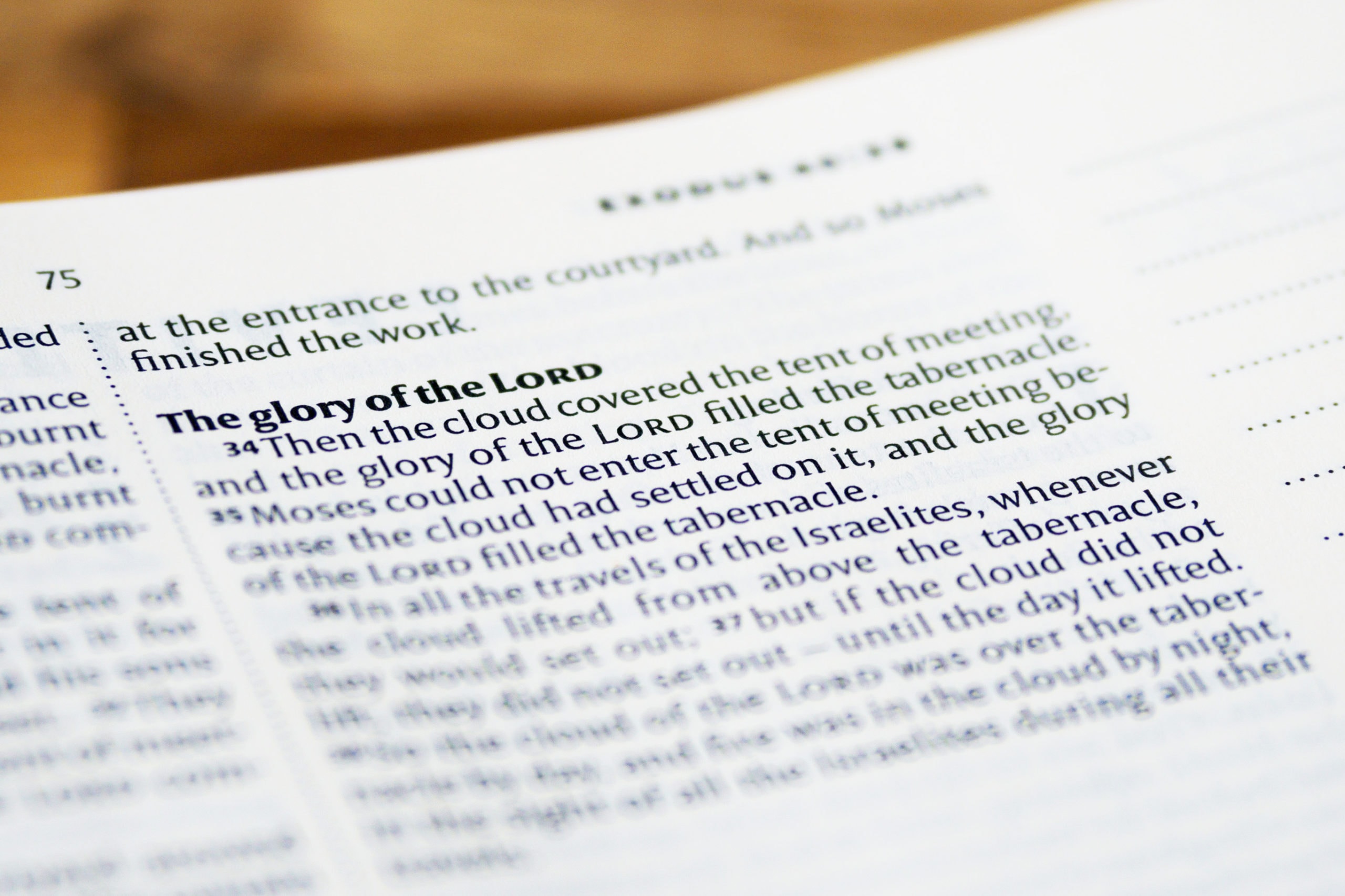 Close-Up Shot of a Bible Text